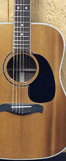 Tennessee Guitar & Sound - Knoxville